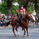 Mounted Rider