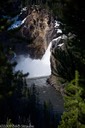 Upper Falls of the Yellowstone through forest canopy and morning cloud cover.
